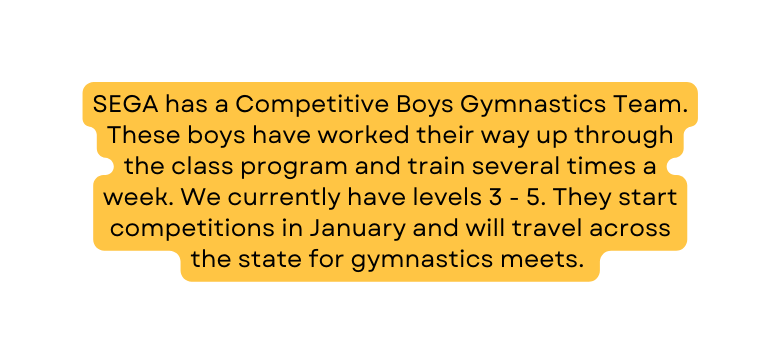 SEGA has a Competitive Boys Gymnastics Team These boys have worked their way up through the class program and train several times a week We currently have levels 3 5 They start competitions in January and will travel across the state for gymnastics meets